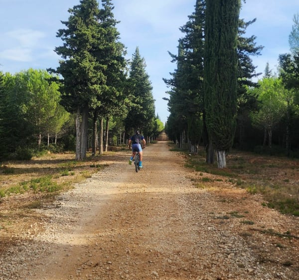 Circuit entre Lunel-Viel Sommières - Lunel-Viel - 1