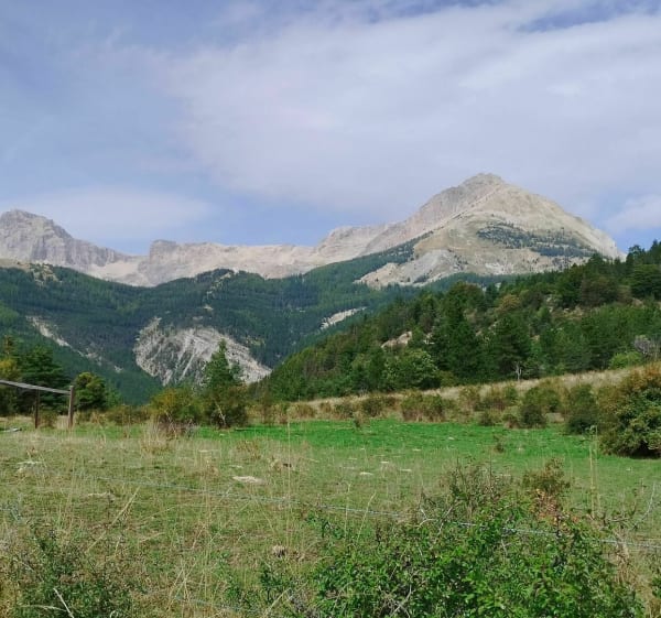 Matacharre - Ravin de la Mèque - Les Sérigons - La Roche-des-Arnauds - 1