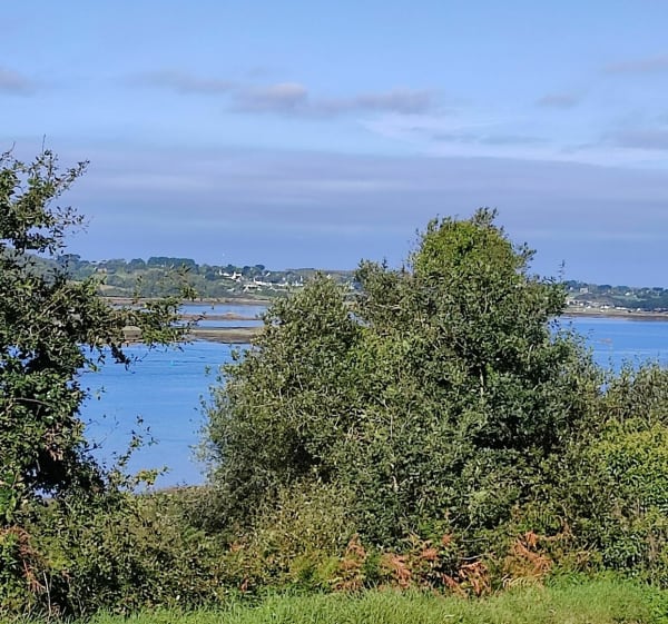 Belle promenade en bord de la rivière le Jaudy - Kerbors - 1