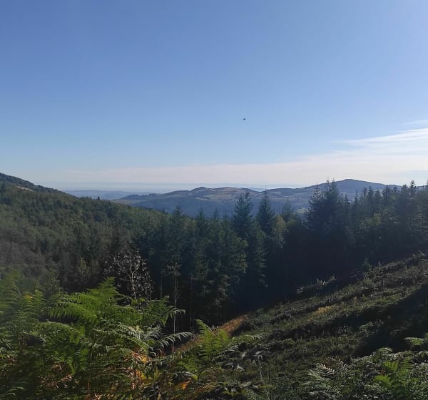 La rivière par Les Places et Saint-Clément - Longessaigne - 1