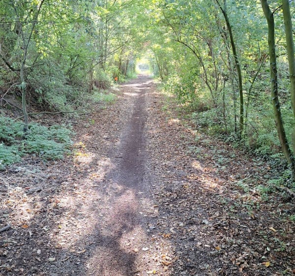 Parcours pour cycliste confirmé autour de L'étang de Chabaud Latour - Fresnes-sur-Escaut - 1