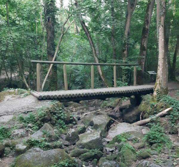 Parcours en forêt autour de Châtel-Guyon - Châtel-Guyon - 1