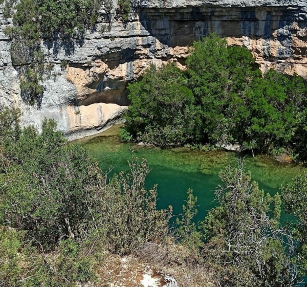 Wandel in het domein van de eouvières - Baudinard-sur-Verdon - 1