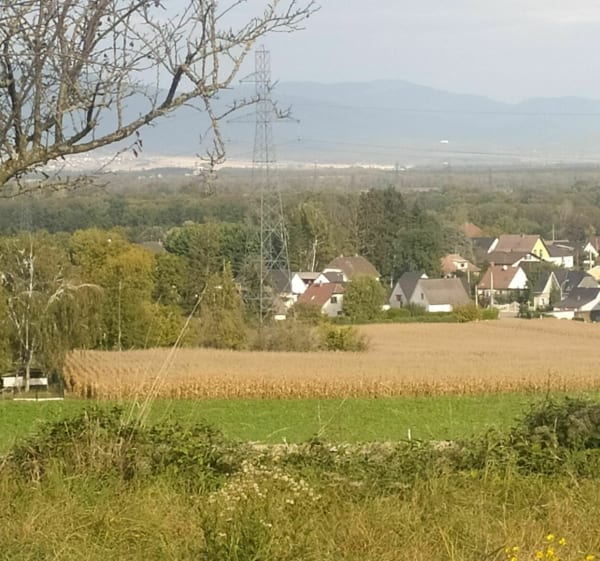 De Morschwiller-le-Bas au barrage de Michelbach en VTTAE - Morschwiller-le-Bas - 1