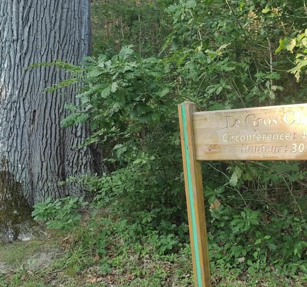 Sentier des sources - Montereau - 1