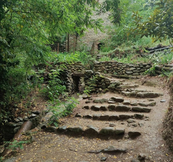 Rando au dolmen de Laroque-des-Albères - Laroque-des-Albères - 1