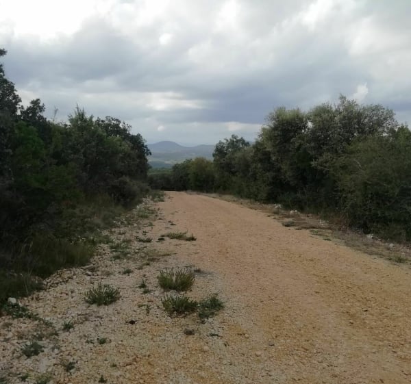 Balade dans les bois de Chabriac - Vagnas - 1