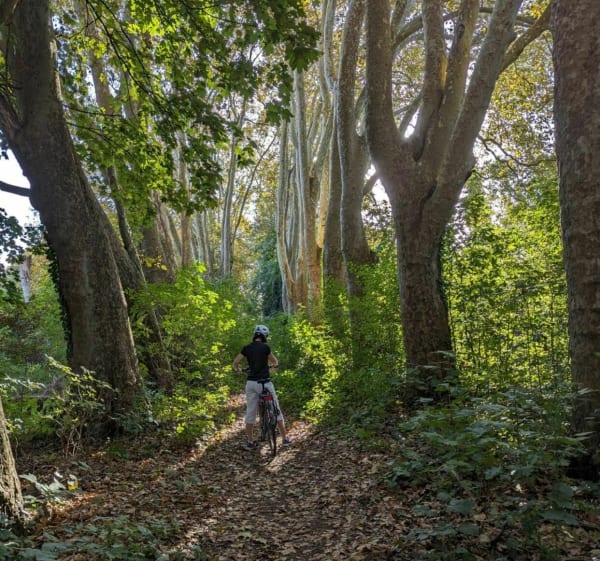 Forêt de Saint Germain: de Maisons Laffitte à Saint Germain - Maisons-Laffitte - 1