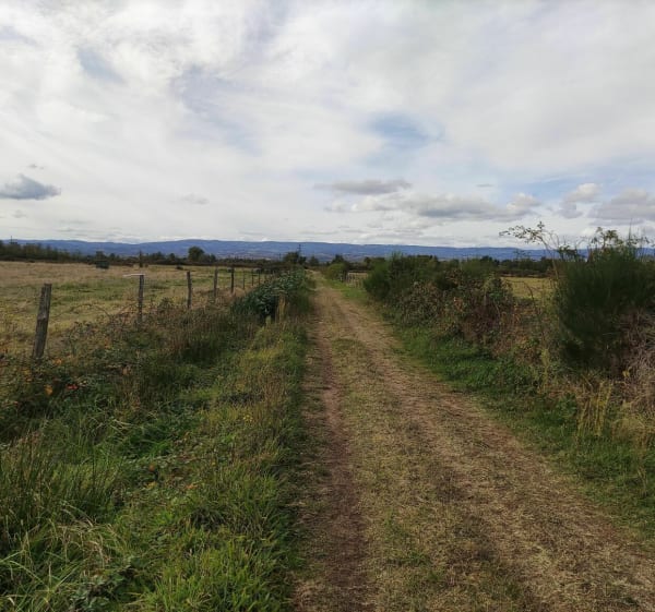 Tour de Sury le Comtal - Sury-le-Comtal - 1