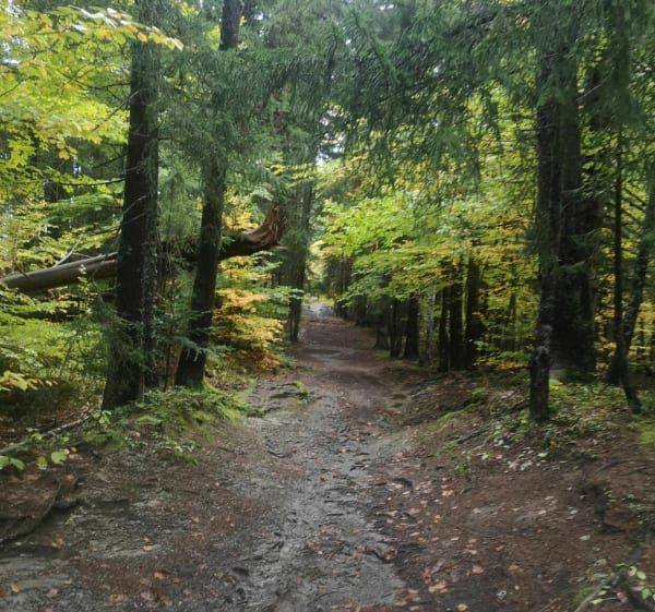 Tour du Danay et Bois de la Pézerette par les Confins - La Clusaz - 1