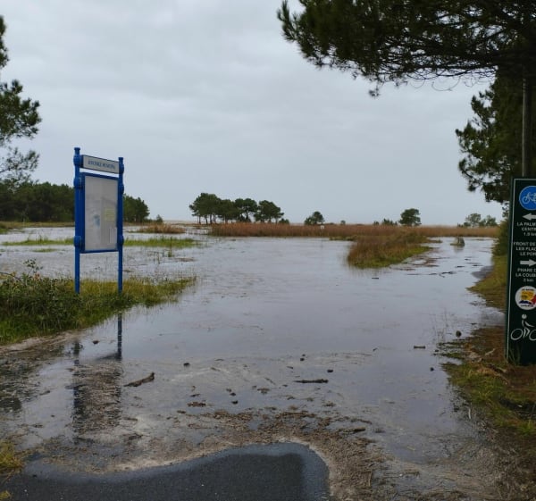 Belle balade en famille sans difficulté à la Palmyre - Les Mathes - 1