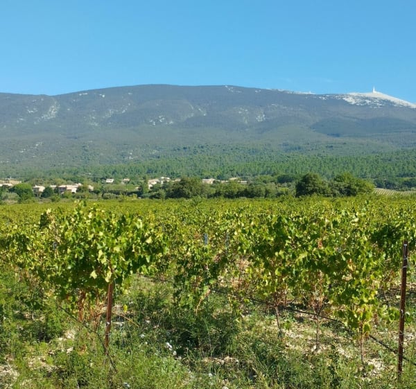 Balade à Ste-Colombe - Bédoin - 1