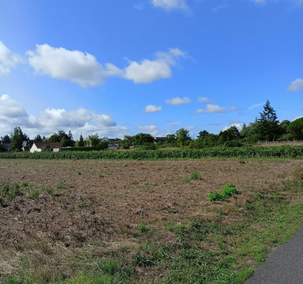 Rando autour de Montlouis-sur-Loire - Montlouis-sur-Loire - 1