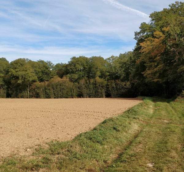 Gaudreville, Le sec Iton et Bois de la Haie - Gaudreville-la-Rivière - 1
