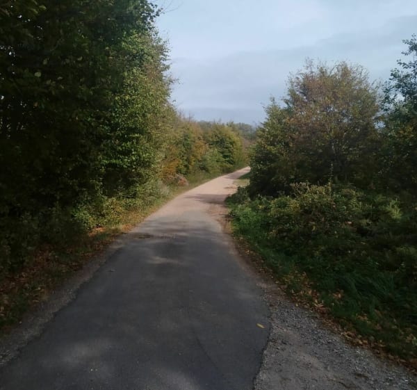Balade en forêt des Colettes - Coutansouze - 1