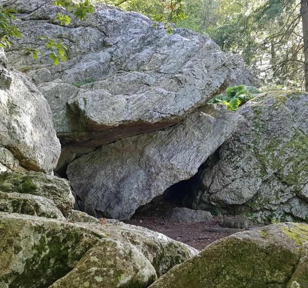 Vallée du Couesnon-Forêt de Haute-Sève - Mézières-sur-Couesnon - 1
