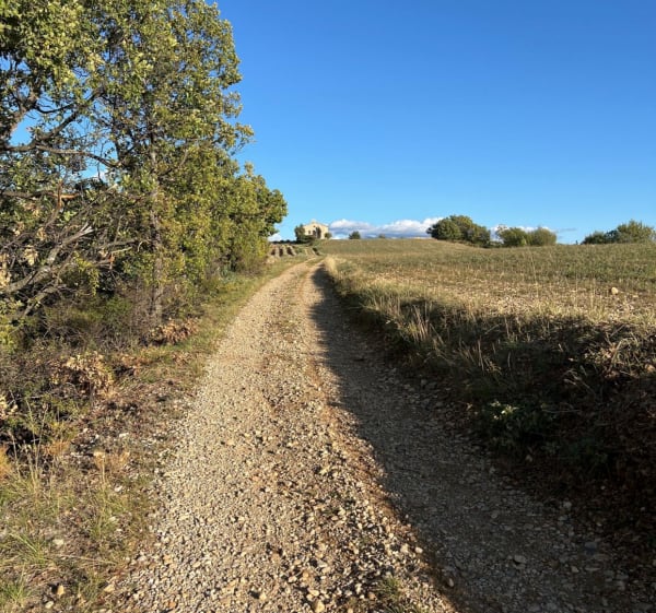 Plateau d’Entrevennes - Entrevennes - 1