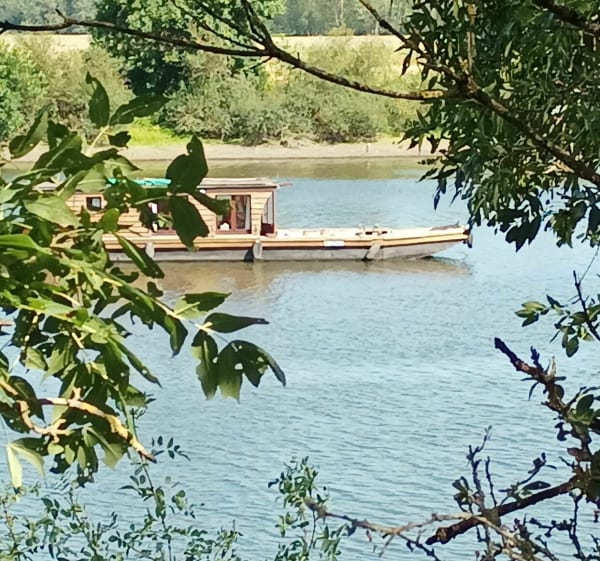 Campagne le long de la Loire et la Maine par les Vignes et Bouchemaine - Bouchemaine - 1