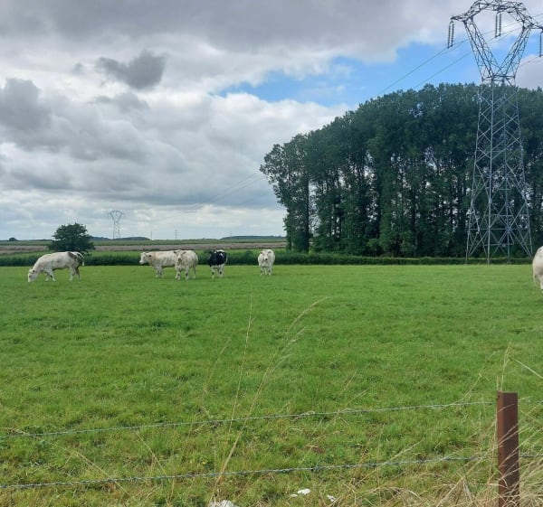 Balade entre villages depuis Wargnies-le-Petit - Wargnies-le-Petit - 1