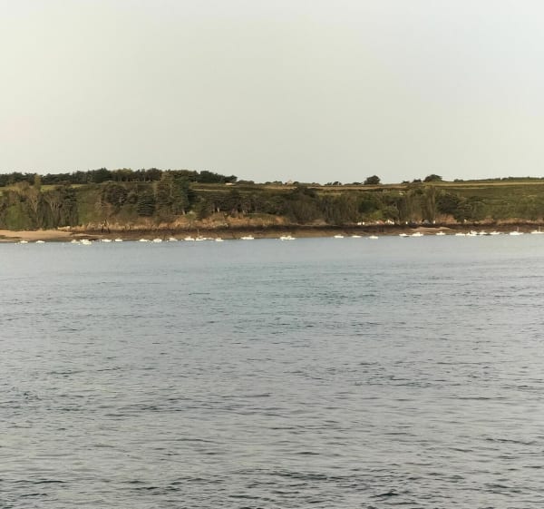 Belle balade de bord de mer à la Pointe de Meinga - Saint-Coulomb - 1