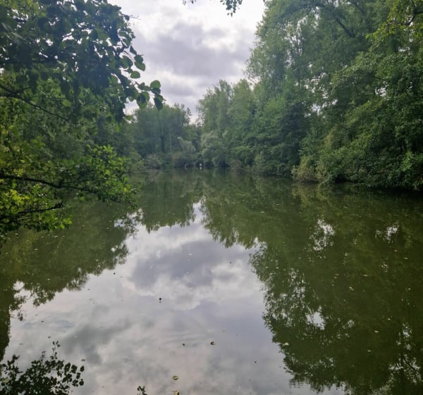 Promenade dans le marais de Biache - Biache-Saint-Vaast - 1