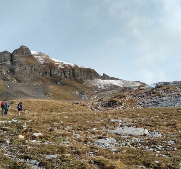 Tête pelouse depuis Flaine - Arâches-la-Frasse - 1