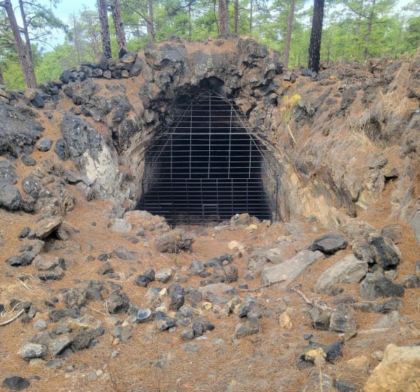 Sentier forestier et canal de l'eau, à Cueva de los Pajaros - Chío - 1