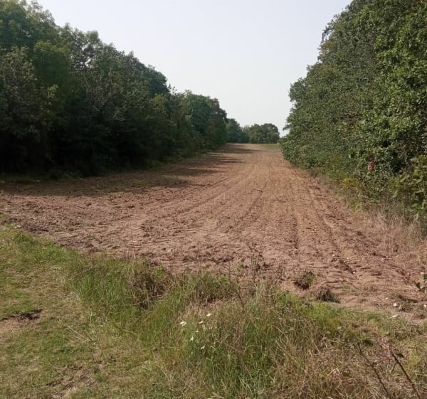 Boucle entre forêt et lac à Moisson - Méricourt - 1