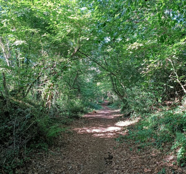 Liaison de Saint Nolff à Elven - Saint-Nolff - 1