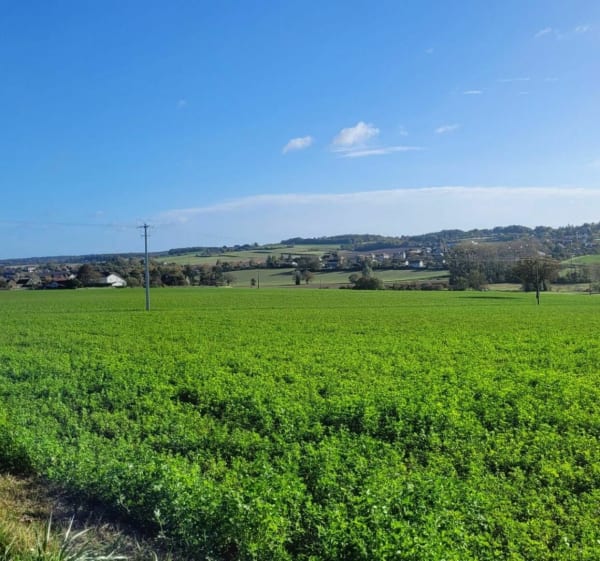 De Cenon à Targé en passant par Senillé - Naintré - 1