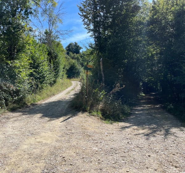La boucle entre  Badinieres - Les Eparres - Chateauvilain - Philippe - 1