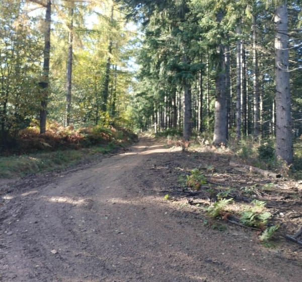 Col de l'Egrillou par les pistes - Serres-sur-Arget - 1