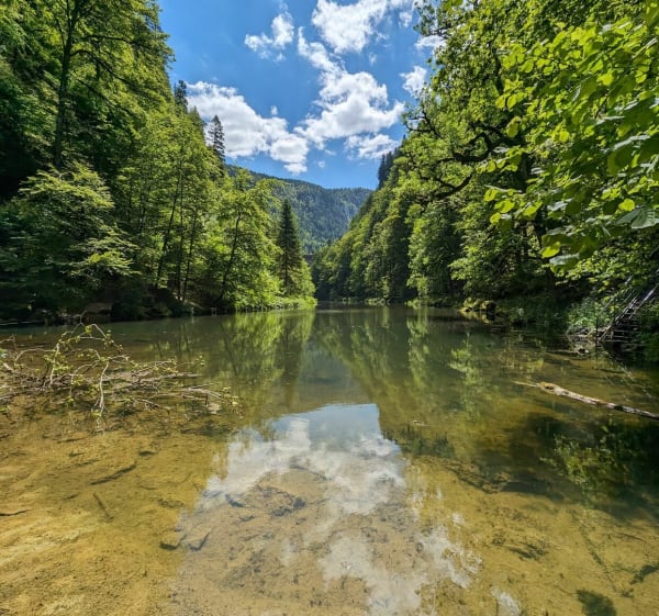 Boucle Franco-Suisse au départ du Pissoux - Villers-le-Lac - 1