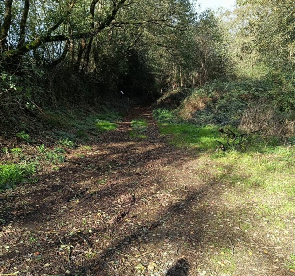 Le Chemin des poètes et Ste-Christine - Chemillé-en-Anjou - 1