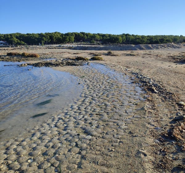 Terre, air, mer à la Couronne - Martigues - 1