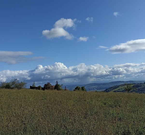 Le signal de St André, par les marches, retour par la Côte - Chaussan - 1