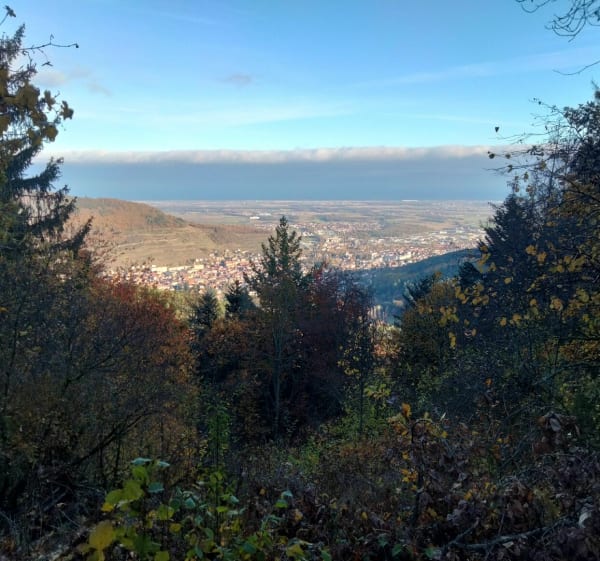 Balade jusqu'au Munsteraeckerle - Guebwiller - 1