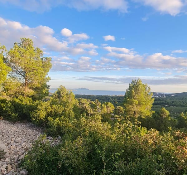 Balade au route de crête avec un retour tranquille. - La Ciotat - 1