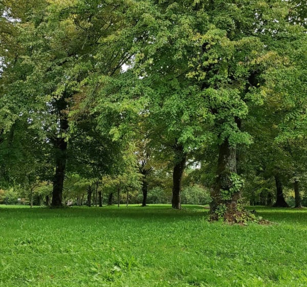 Rando de la plaine de Bouxières-aux-Dames - Bouxières-aux-Dames - 1