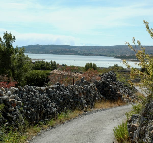 Sortie VTT à Leucate et Grotte des Fées - Paco - 1