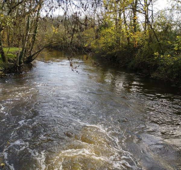 Boucle de Chaillé-sous-les-Ormeaux - Rives-de-l'Yon - 1