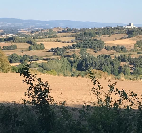 Vanuit Chambert, langs de Sailhant-waterval - Roffiac - 1