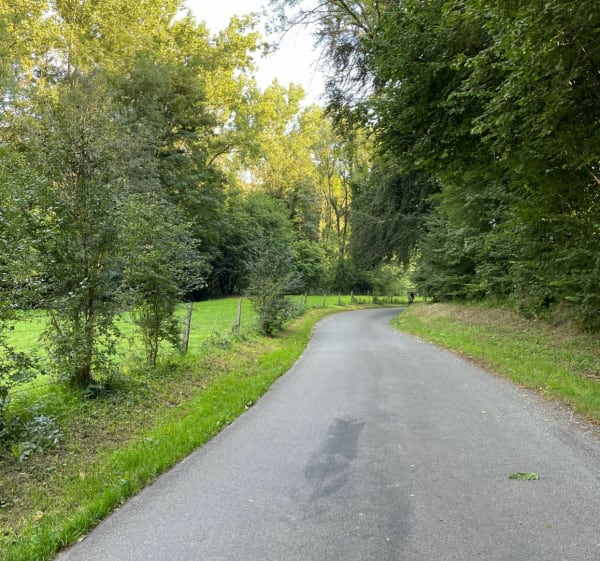 De Vitz-sur-Authie vers Gueschart - Vitz-sur-Authie - 1