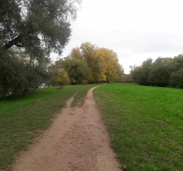 Trévoux - Saint-Bernard par Chamalan et les bords de Saône - Trévoux - 1