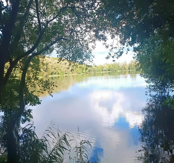 Autour de l'étang de Ponts et Marais - Ponts-et-Marais - 1