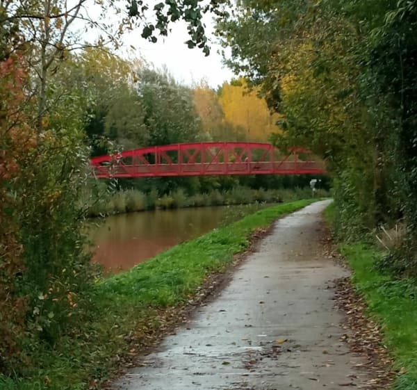 Boucle Mervilloise avec retour berge de la Lys - Merville - 1