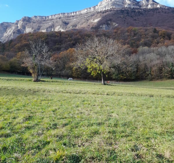 St-Ismier, Bernin et St-Nazaire-les-Eymes - Saint-Ismier - 1