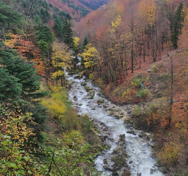 Vallée du Hérisson - Le Frasnois - 1