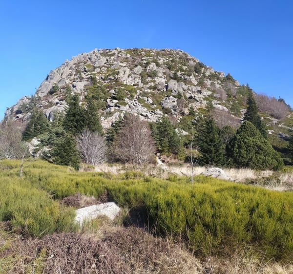 Mount Gerbier des Joncs - Saint-Martial - 1