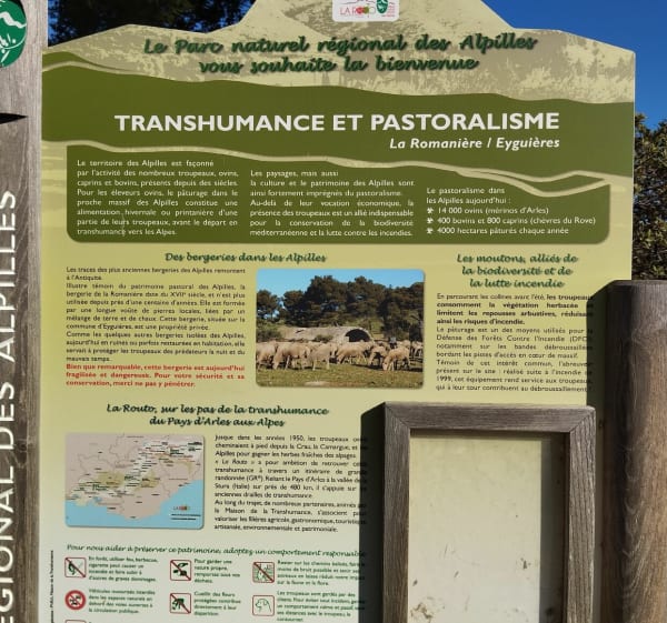 Les Barres Rouges sous les Opies - Aureille - 1